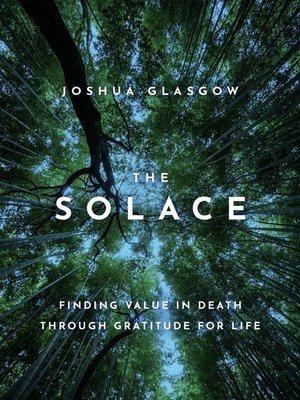 The Solace - ebook